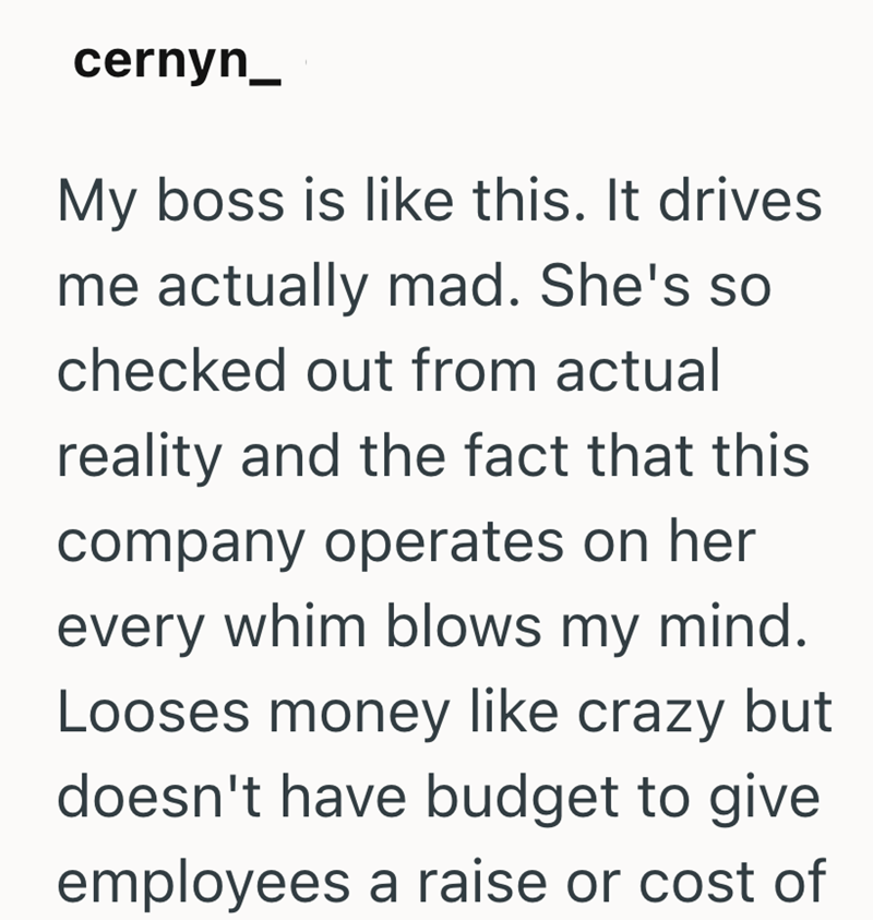cernyn_ My boss is like this. It drives me actually mad. She's so checked out from actual reality and the fact that this company operates on her every whim blows my mind. Looses money like crazy but doesn't have budget to give employees a raise or cost of