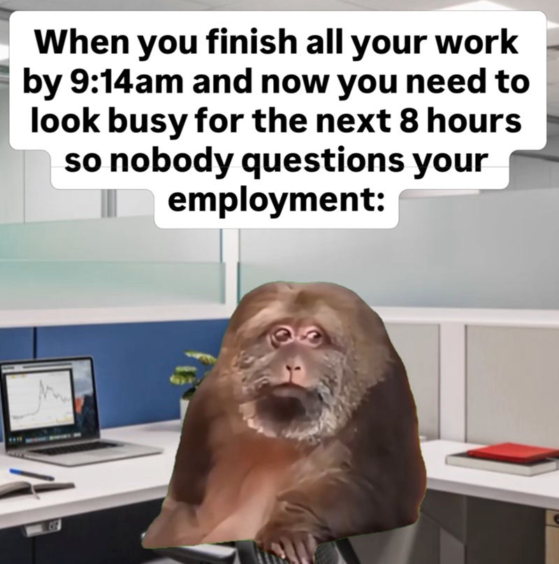 When you finish all your work by 9:14am and now you need to look busy for the next 8 hours so nobody questions your employment:
