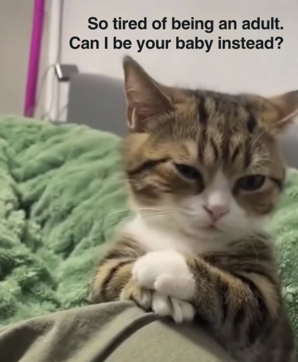 So tired of being an adult. Can I be your baby instead?