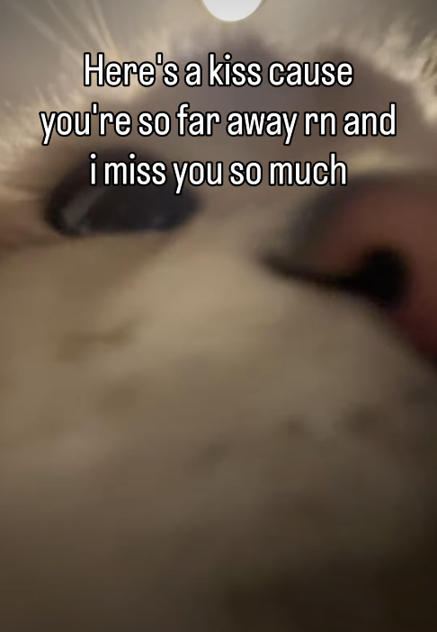 Here's a kiss cause you're so far away rn and i miss you so much