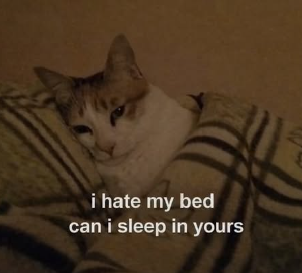 i hate my bed can i sleep in yours