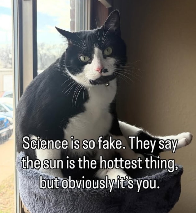 Science is so fake. They say the sun is the hottest thing, but obviously it's you.