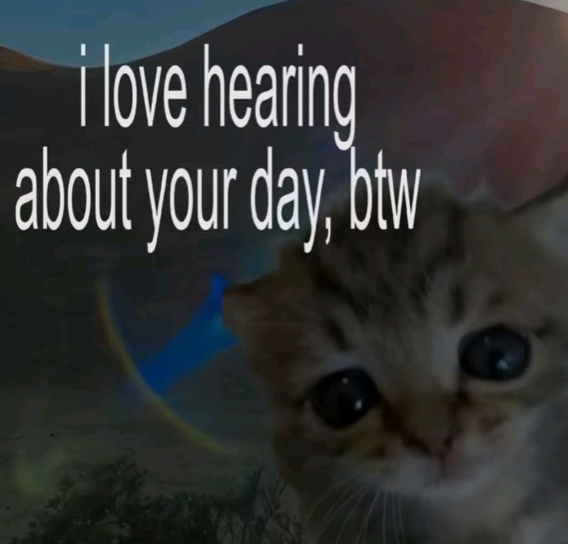 i love hearing about your day, btw
