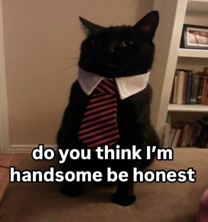 do you think I'm handsome be honest