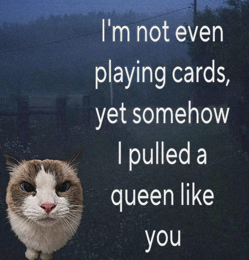 I'm not even playing cards, yet somehow I pulled a queen like you