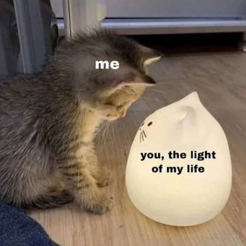 me you, the light of my life