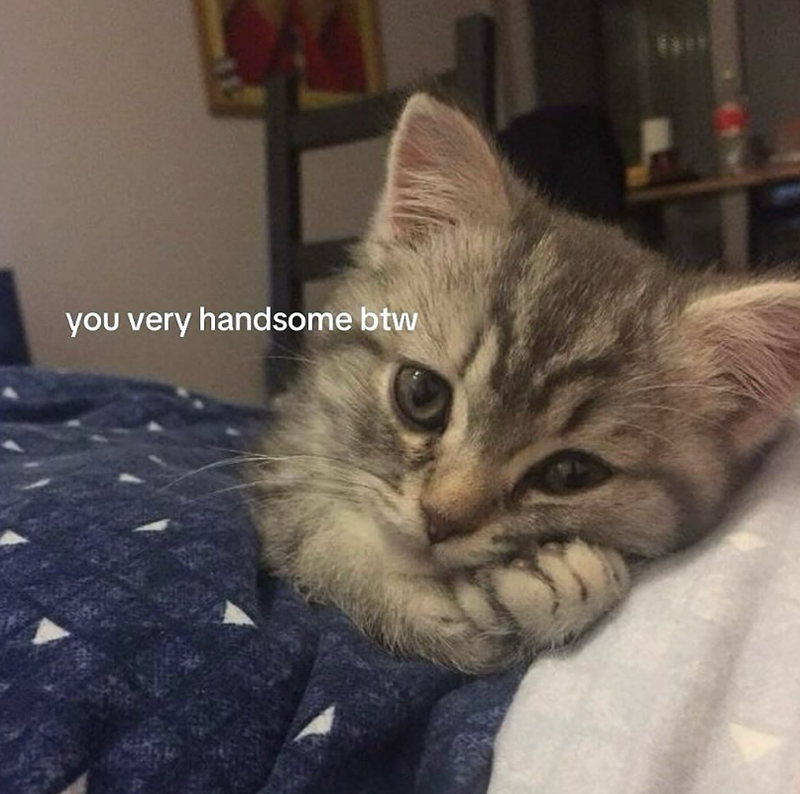 you very handsome btw