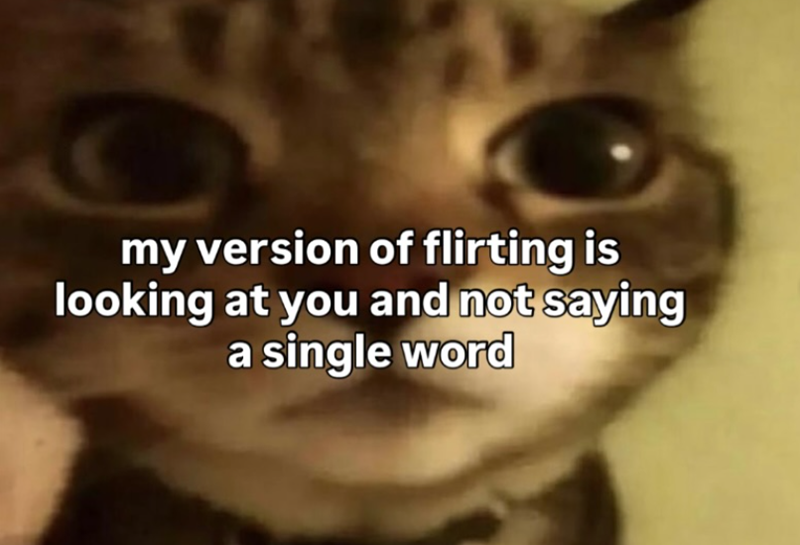 my version of flirting is looking at you and not saying a single word