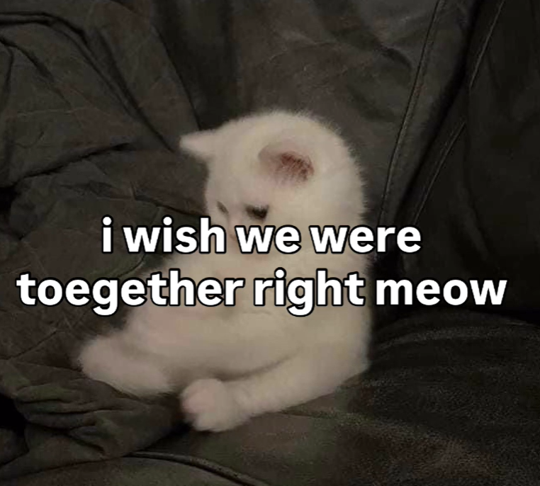 i wish we were toegether right meow