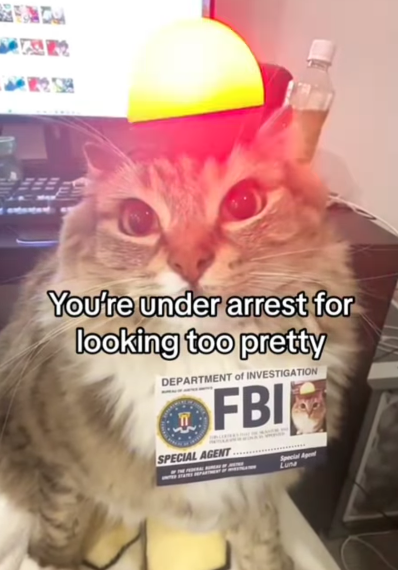 You're under arrest for looking too pretty DEPARTMENT of INVESTIGATION I FBI SPECIAL AGENT Special Agent Lun