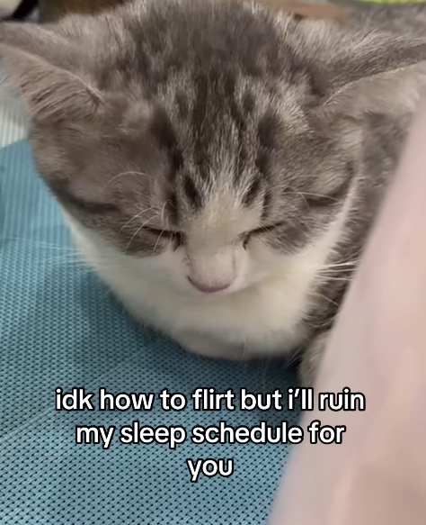 idk how to flirt but i'll ruin my sleep schedule for YOU