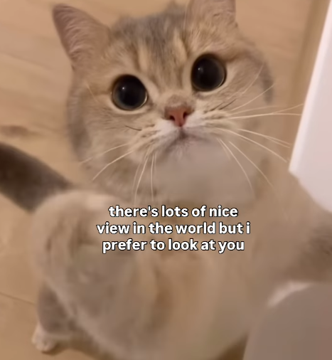 there's lots of nice view in the world but i prefer to look at you