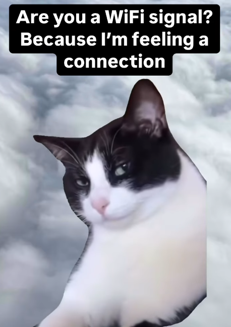 Are you a WiFi signal? Because I'm feeling a connection