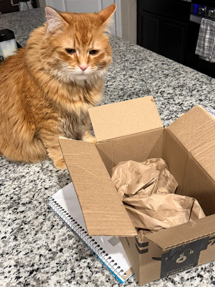 ree delivery