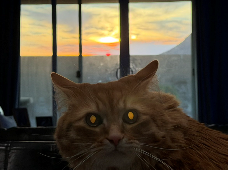Cheezburger Image 10633795840