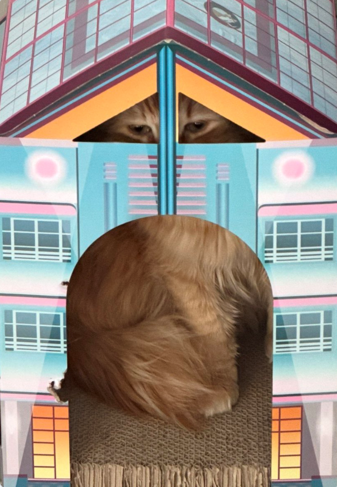 O