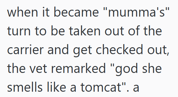 when it became "mumma's" turn to be taken out of the carrier and get checked out, the vet remarked "god she smells like a tomcat". a