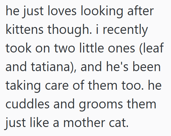 he just loves looking after kittens though. i recently took on two little ones (leaf and tatiana), and he's been taking care of them too. he cuddles and grooms them just like a mother cat.