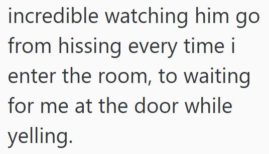 incredible watching him go from hissing every time i enter the room, to waiting for me at the door while yelling.