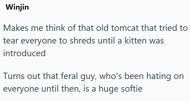 Winjin Makes me think of that old tomcat that tried to tear everyone to shreds until a kitten was introduced Turns out that feral guy, who's been hating on everyone until then, is a huge softie