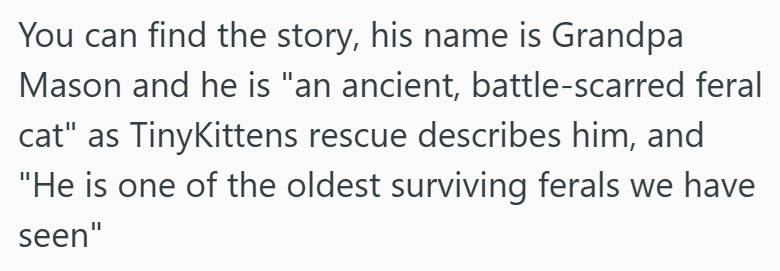 You can find the story, his name is Grandpa Mason and he is "an ancient, battle-scarred feral cat" as TinyKittens rescue describes him, and "He is one of the oldest surviving ferals we have seen"