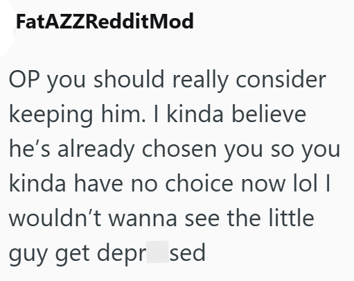 FatAZZRedditMod OP you should really consider keeping him. I kinda believe he's already chosen you so you kinda have no choice now lol I wouldn't wanna see the little guy get depr sed