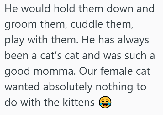 He would hold them down and groom them, cuddle them, play with them. He has always been a cat's cat and was such a good momma. Our female cat wanted absolutely nothing to do with the kittens
