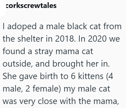 corkscrewtales I adoped a male black cat from the shelter in 2018. In 2020 we found a stray mama cat outside, and brought her in. She gave birth to 6 kittens (4 male, 2 female) my male cat was very close with the mama,