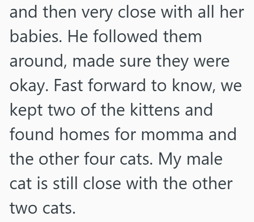 and then very close with all her babies. He followed them around, made sure they were okay. Fast forward to know, we kept two of the kittens and found homes for momma and the other four cats. My male cat is still close with the other two cats.