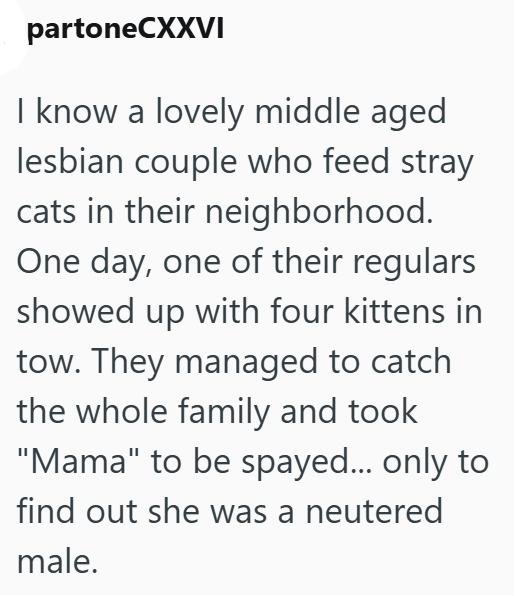 partoneCXXVI I know a lovely middle aged lesbian couple who feed stray cats in their neighborhood. One day, one of their regulars showed up with four kittens in tow. They managed to catch the whole family and took "Mama" to be spayed... only to find out she was a neutered male.
