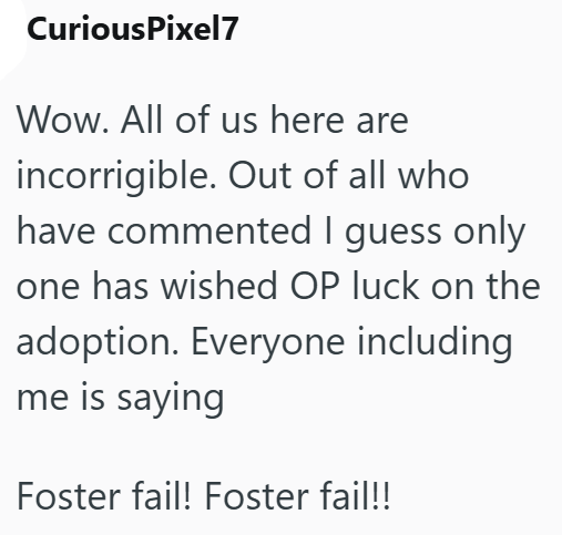 CuriousPixel7 Wow. All of us here are incorrigible. Out of all who have commented I guess only one has wished OP luck on the adoption. Everyone including me is saying Foster fail! Foster fail!!