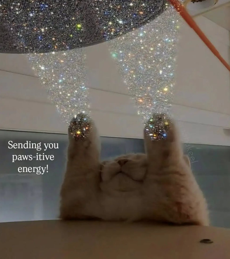 Sending you paws-itive energy! shakeel