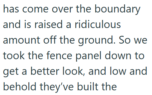 has come over the boundary and is raised a ridiculous amount off the ground. So we took the fence panel down to get a better look, and low and behold they've built the