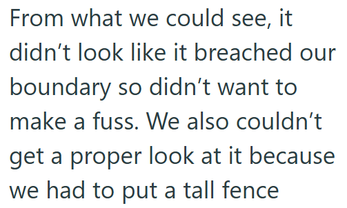 From what we could see, it didn't look like it breached our boundary so didn't want to make a fuss. We also couldn't get a proper look at it because we had to put a tall fence
