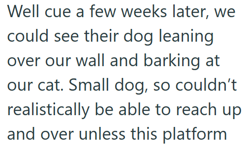 Well cue a few weeks later, we could see their dog leaning over our wall and barking at our cat. Small dog, so couldn't realistically be able to reach up and over unless this platform