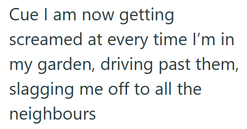 Cue I am now getting screamed at every time I'm in my garden, driving past them, slagging me off to all the neighbours