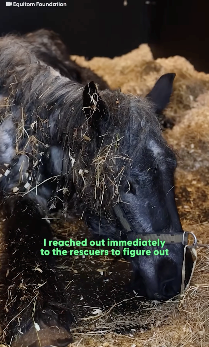 Equitom Foundation I reached out immediately to the rescuers to figure out