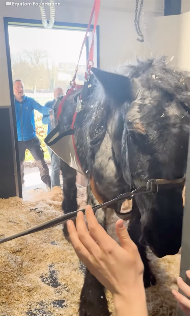 Equitom Foundation