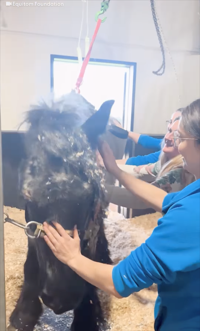 Equitom Foundation