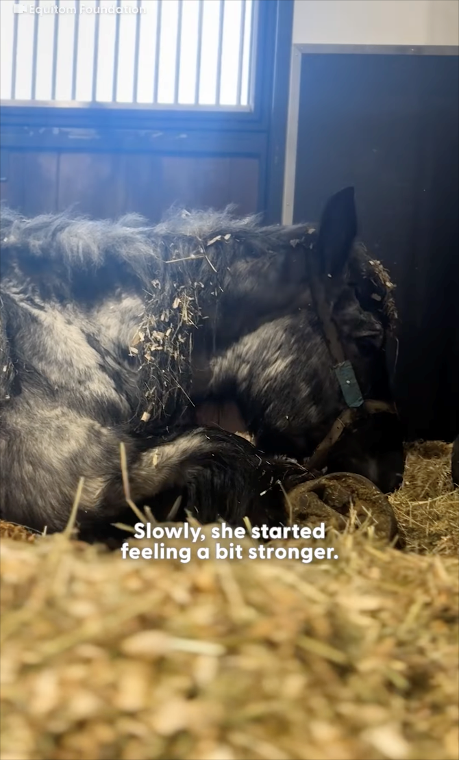 * Equitom Foundation Slowly, she started feeling a bit stronger.