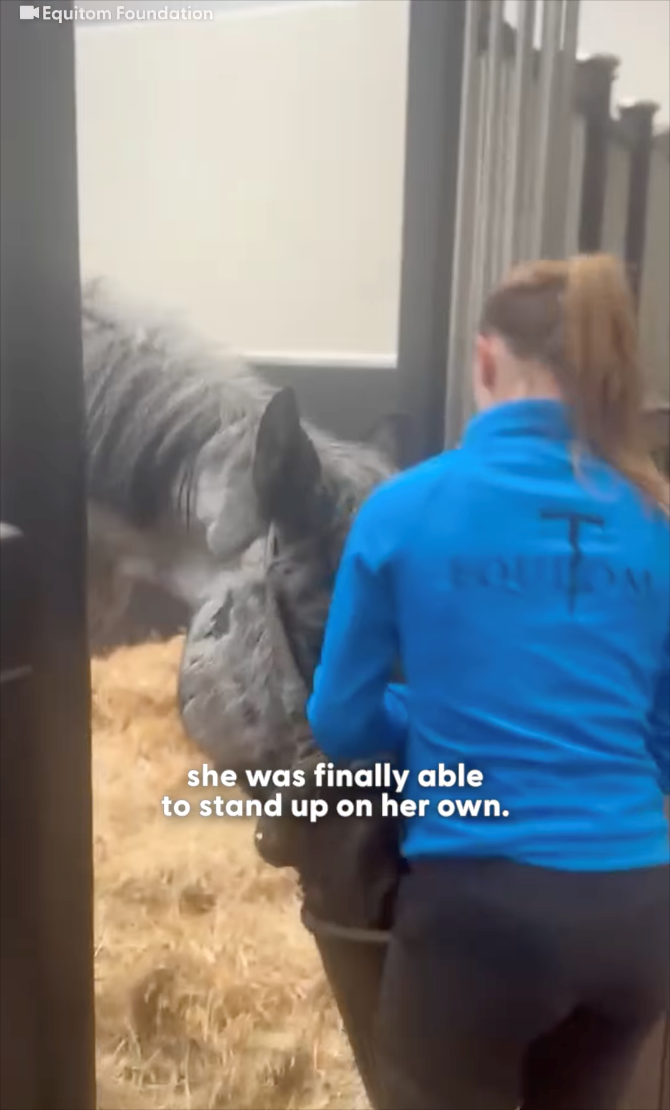 Equitom Foundation she was to stand up on her own. as finally able