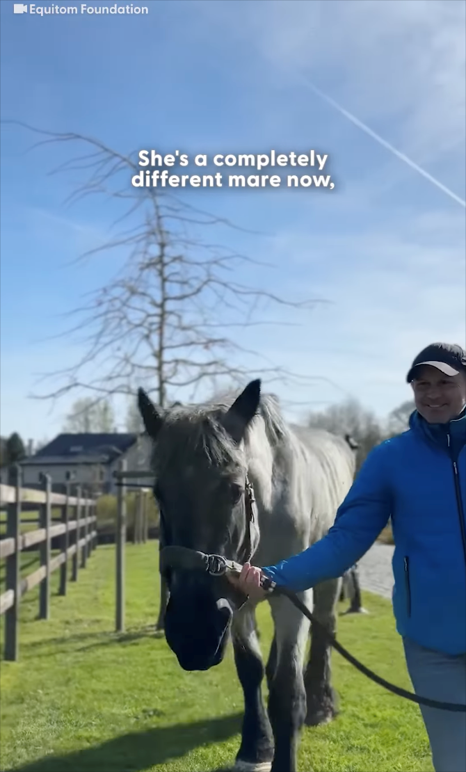 Equitom Foundation She's a completely different mare now,