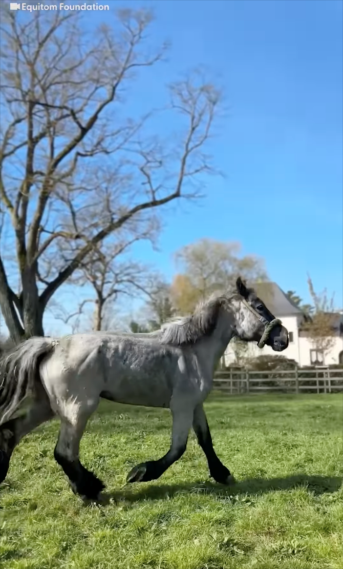 Equitom Foundation