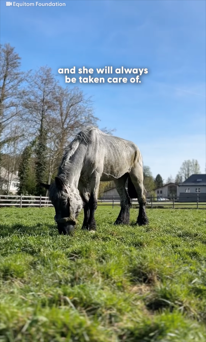 Equitom Foundation and she will always be taken care of.
