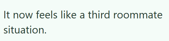 It now feels like a third roommate situation.