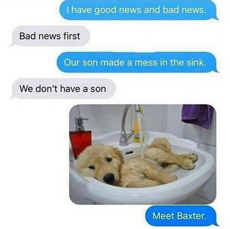 I have good news and bad news. Bad news first Our son made a mess in the sink. We don't have a son Meet Baxter.
