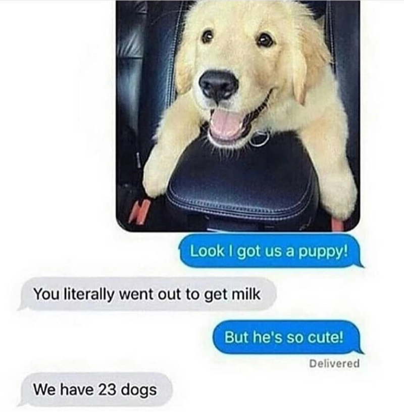 Look I got us a puppy! You literally went out to get milk But he's so cute! We have 23 dogs Delivered