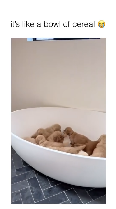 it's like a bowl of cereal