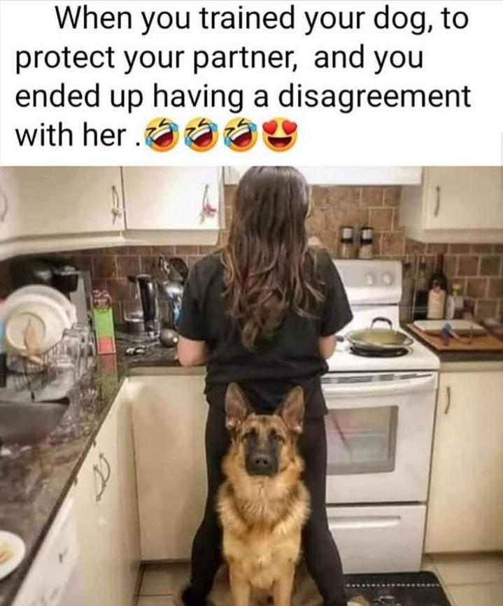 When you trained your dog, to protect your partner, and you ended up having a disagreement with her.