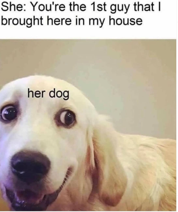 She: You're the 1st guy that I brought here in my house. her dog